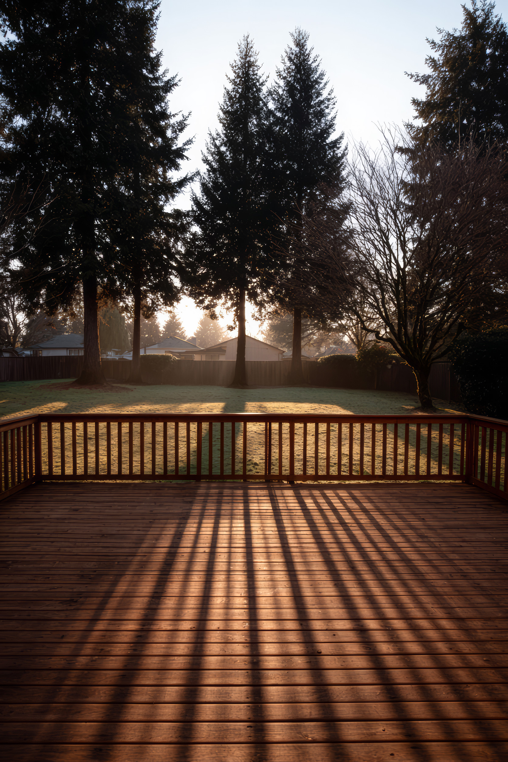 a large wooden deck in the morning sun with pine trees